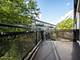 1070 W 15th Unit 309, Chicago, IL 60608