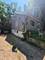 1307 Eastview, Waukegan, IL 60085