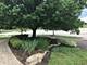 16157 Syd Creek, Homer Glen, IL 60491
