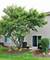 3811 Munson Unit 0, Plano, IL 60545