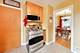 2004 Newton, Park Ridge, IL 60068