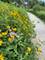 1117 Hedgerow, Grayslake, IL 60030
