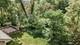 591 W Rosiland, Palatine, IL 60074