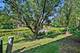994 Kensington, Northbrook, IL 60062