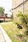 7348 S Vernon, Chicago, IL 60619