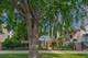 3122 W 39th, Chicago, IL 60632
