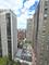 1000 N Lake Shore Unit 809, Chicago, IL 60611