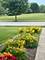 12901 Norwich, Plainfield, IL 60585