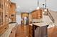 216 Larsdotter, Geneva, IL 60134