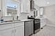 11120 S Albany, Chicago, IL 60655