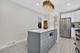 11120 S Albany, Chicago, IL 60655