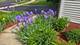 11819 Wolf Creek, Plainfield, IL 60585