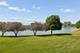 1905 Springside, Plainfield, IL 60586