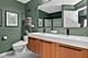 44 Grace, Lemont, IL 60439