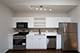 519 S Maplewood Unit 4S, Chicago, IL 60612