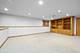 10427 Songbird, Orland Park, IL 60467