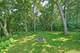 1305 13th, Winthrop Harbor, IL 60096