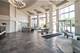 1000 W Adams Unit 506, Chicago, IL 60607