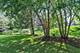 13319 W Essex, Huntley, IL 60142