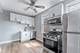 1019 W 18th, Chicago, IL 60608