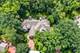 863 Gloucester, Lake Forest, IL 60045