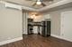 817 W Lakeside Unit 204, Chicago, IL 60640