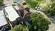 1656 S Troy, Chicago, IL 60623