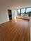 3930 N Pine Grove Unit 604, Chicago, IL 60613