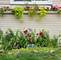 4306 Atlantic, Schiller Park, IL 60176
