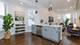 1458 W Pensacola Unit 3, Chicago, IL 60613