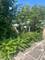 18621 Morris, Homewood, IL 60430