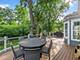 1250 W Thomas, Wheaton, IL 60187