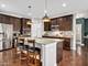 1250 W Thomas, Wheaton, IL 60187