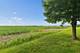 2715 Centurion, New Lenox, IL 60451