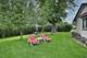 1157 Elmwood, Elk Grove Village, IL 60007