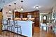 1157 Elmwood, Elk Grove Village, IL 60007