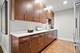 850 N Lake Shore Unit 1306, Chicago, IL 60611