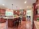 1404 Hatchwood, Naperville, IL 60565