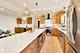 6730 W Dakin, Chicago, IL 60634