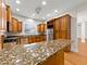120 W Porter, Naperville, IL 60540