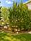 8333 170th, Tinley Park, IL 60477