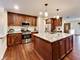 603 Chelmsford, Elk Grove Village, IL 60007