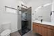 11154 S Troy, Chicago, IL 60655