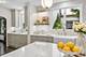1192 Chatfield, Winnetka, IL 60093