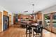 12726 Shenandoah, Plainfield, IL 60585