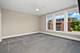924 E Chicago, Naperville, IL 60540