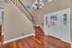 256 E Fox Hill, Buffalo Grove, IL 60089