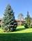 836 E Old Willow Unit 11111, Prospect Heights, IL 60070