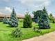 836 E Old Willow Unit 11111, Prospect Heights, IL 60070