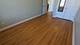 1355 W Washington Unit 6B, Chicago, IL 60607